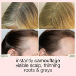 Taileden Touch Hair Concealer